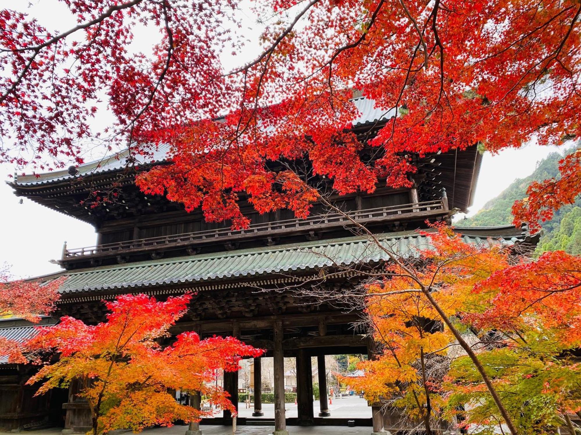 Ryokan Tanakaya Minobu Exterior photo