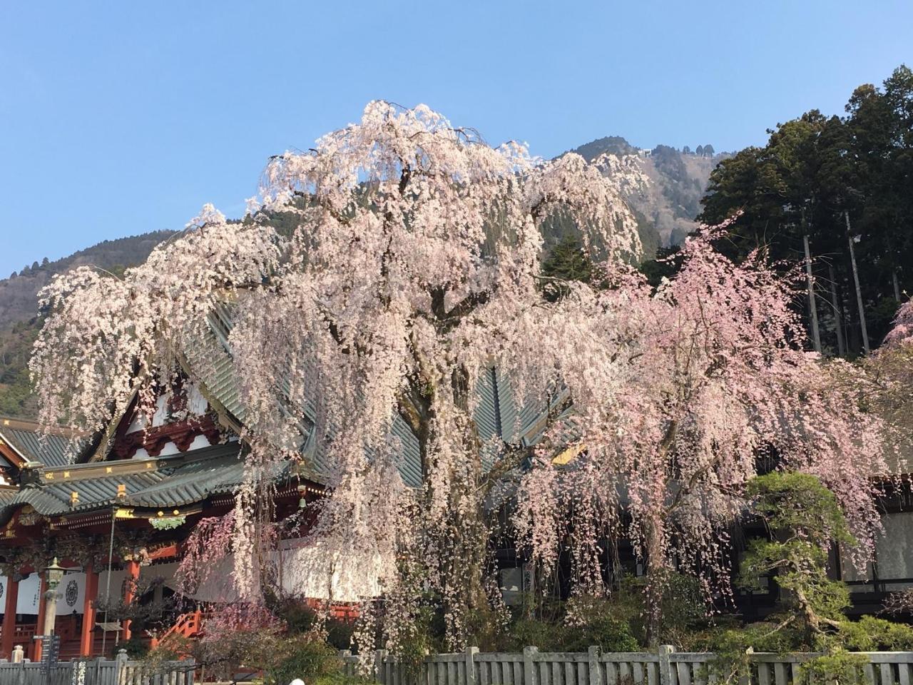 Ryokan Tanakaya Minobu Exterior photo